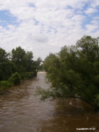 Zdjęcie Bobru