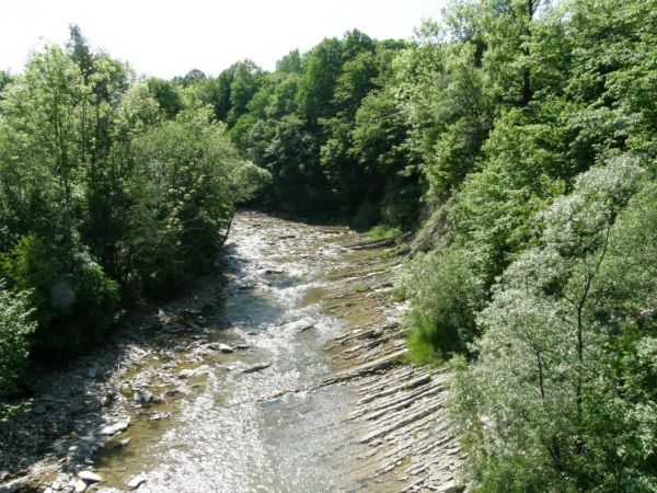 Przełom Wisłoka k. Rudawki Rymanowskiej