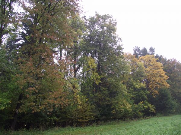 kiedy kończy się zima i słońce zaczyna mocniej świecić, zgłodniałe kleszcze wyruszają na łowy, atakują z ukrycia, przenoszą groźne wirusy i bakterie - no, ale ?