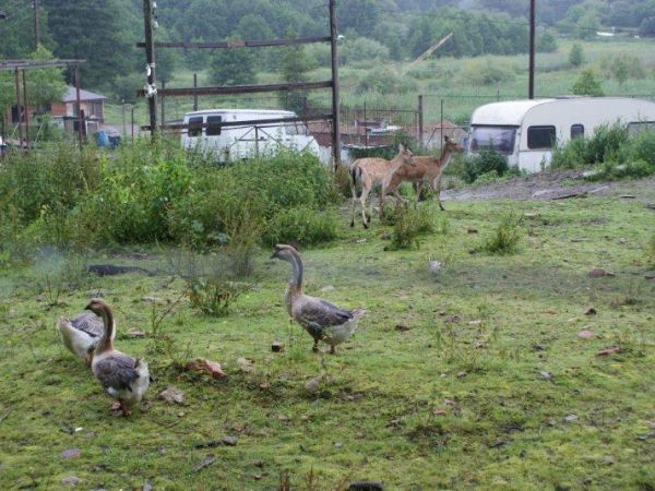 Tuczno - lipiec 2011