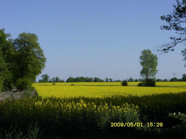 zdjecie Chocicza Mała