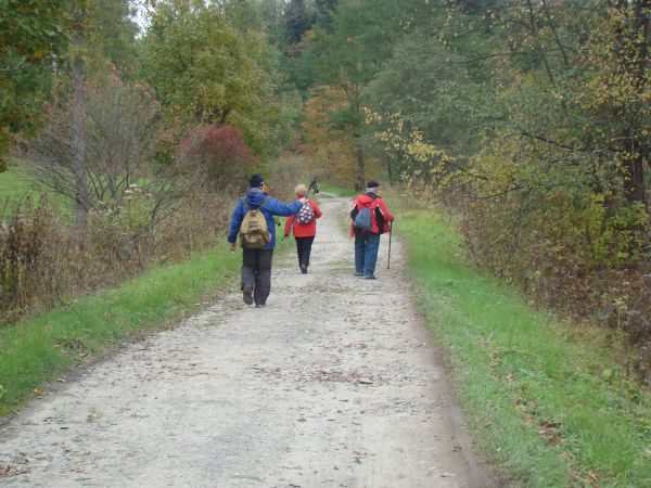 a to stara, pełna klimatów, legendami nasycona - królewska droga - z bliskich wtedy Węgier na Kostryń - historyczne wielce miejsce, gród od Leska starszy, o cis