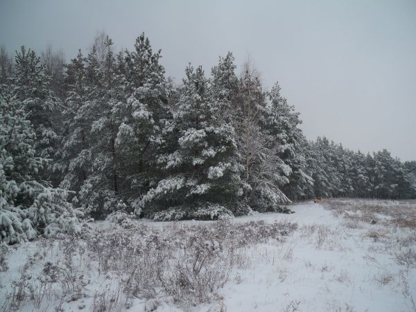 zdjecie Trzęsów