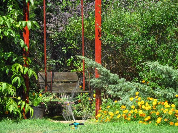 Ogród w centrum miasta