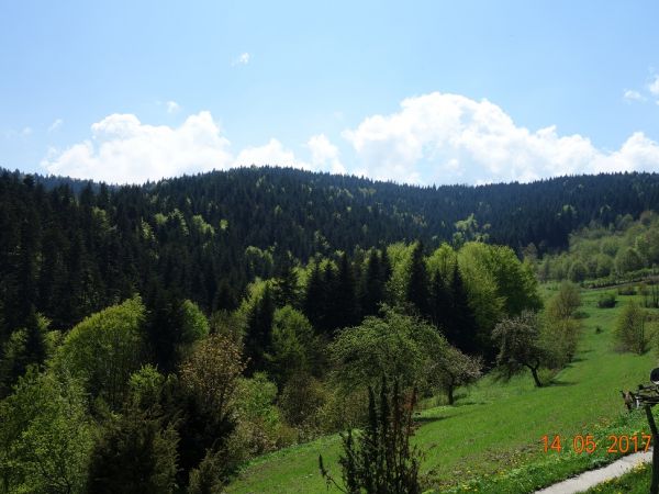 Widok na Bieńkowski Dział