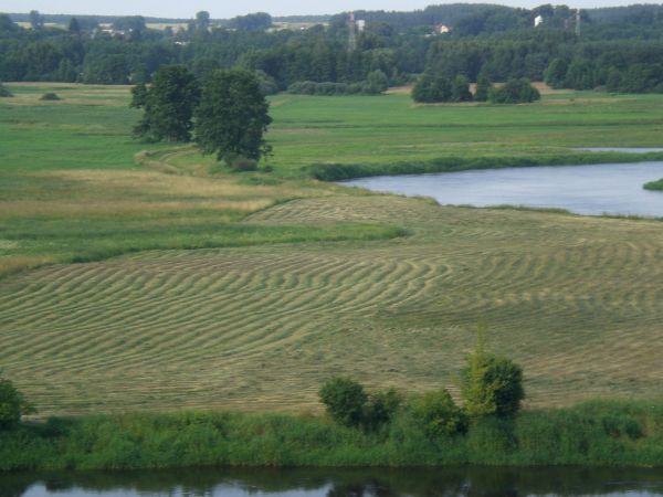 Niewodowskie laki. Tak zwany Korczak.