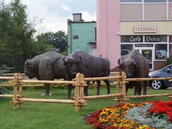 Mirosławiec - lipiec 2012