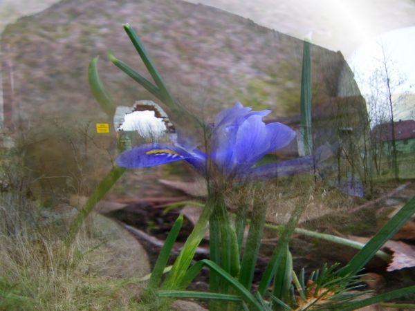 jako że nikt nie garnie się ze sztuką po wsiach tak o to wyszła mi sztuka