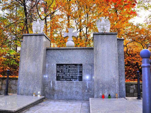 zdjecie Wodzisław Śląski