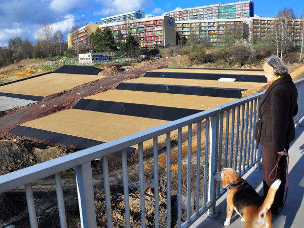 zdjecie Wodzisław Śląski