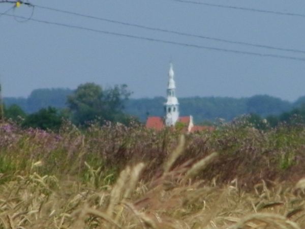 w oddali widać słabo wieżę kościoła i dach wieś Łagów   zdjęcie zrobione okolice Jerzmanek