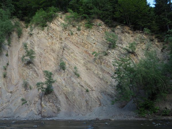 przełomowy odcinek Wisłoka, urwiste ściany na prawym brzegu rzeki osiągają 40 m  wysokości, osłaniają się łupki z epoki eocenu.