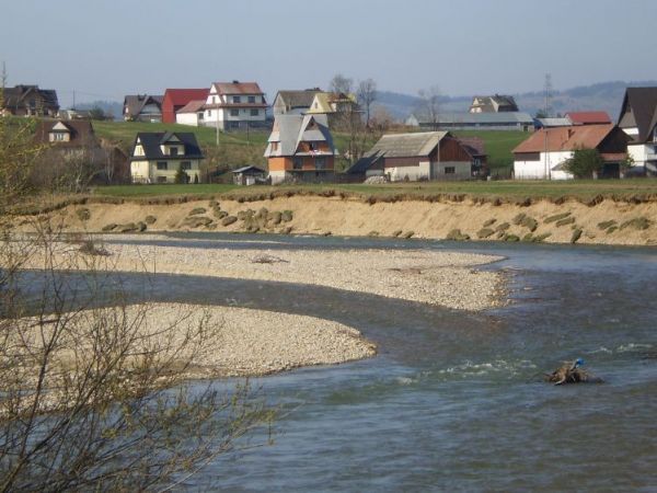 Czarny Dunajec płynie tutaj z rozmachem