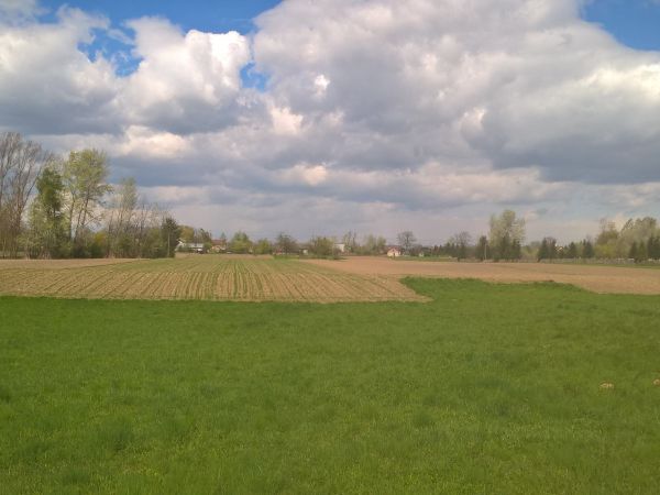 Mała panorama Brzostkowa w kierunku cmentarza i kościoła.Brzostków leży na idealnej równinie ,podobnie Pawłow,Kawęczyn i Błotnowola i to chyba fenomen w Polsce