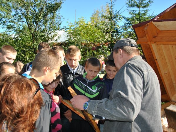 Młodzież bardzo interesuje życie i praca pszczół[ pszczoły łagodne]