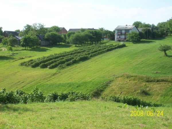 Ogrody za kościołem