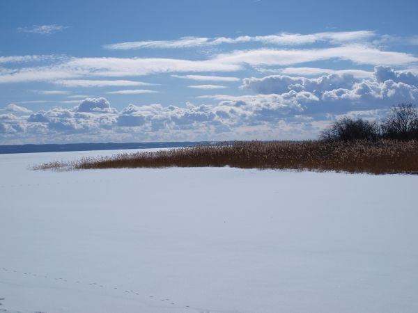 zdjecie Krynica Morska