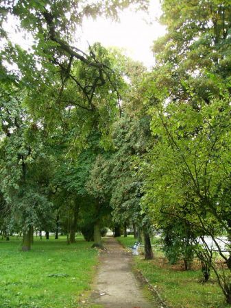 Park