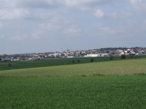 Mława od strony lasu