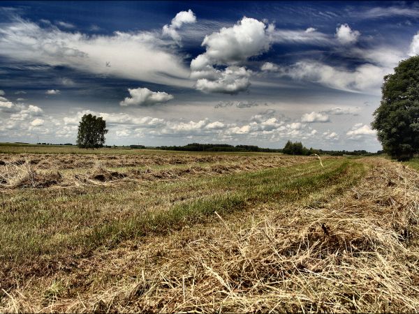 zdjecie Tyniewicze Duże