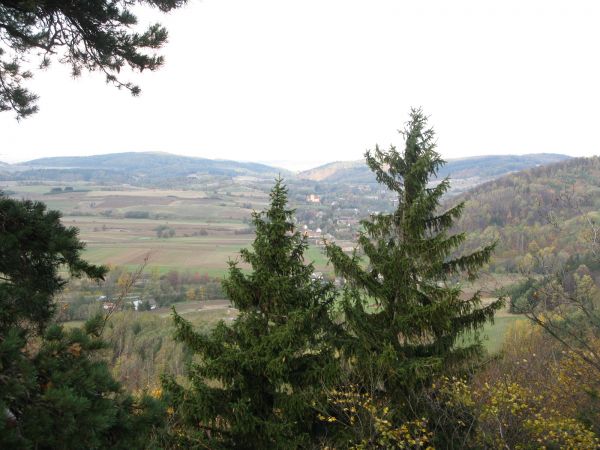 Wies w dolinie,widok z Sokolca