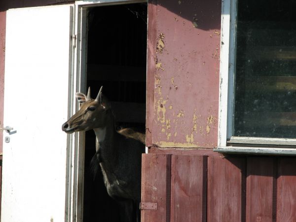 Sanktuarium w Kalkowie