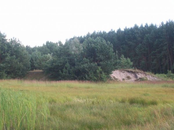 zdjecie Wólka Kątna