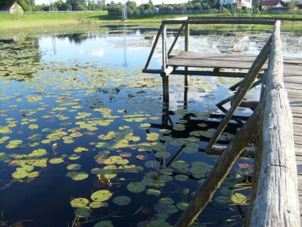 Zdjęcia Wołcza Mała