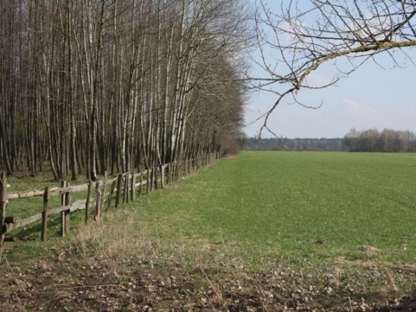 zdjecie Czarna Średnia