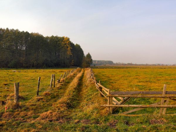 zdjecie Tyniewicze Duże