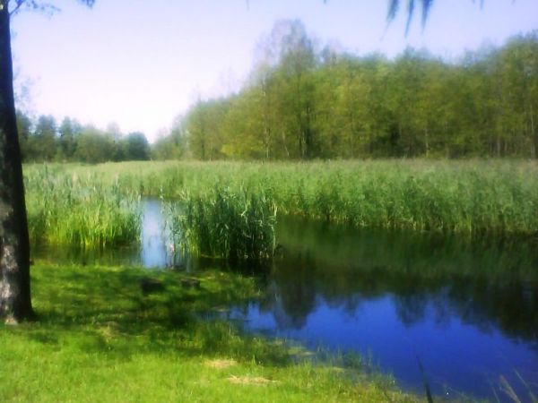 zdjecie Maćkowa Ruda