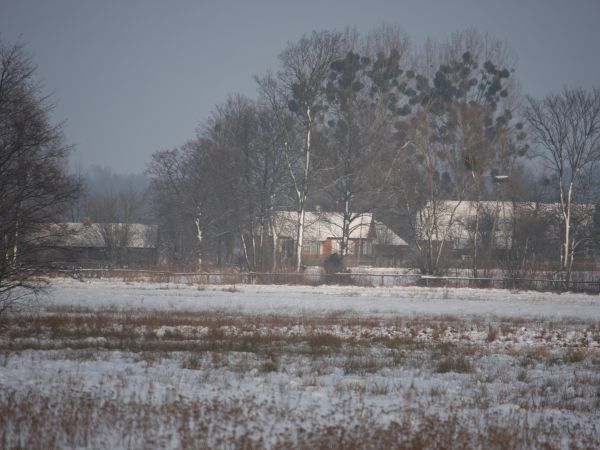 w oddali Łopuchówka