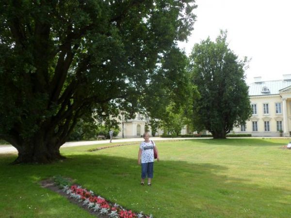 pośród zieleni zespołu pałacowo-parkowego.