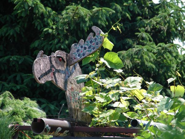 Zalipie 175 6.06.2011