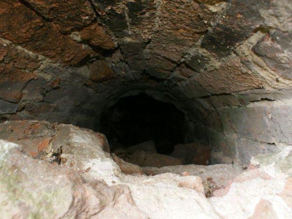 Ruiny pałacu. Kłębowiec - sierpień 2010.