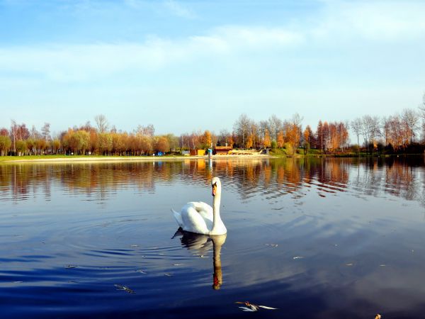 Olza-ośrodek wypoczynkowy