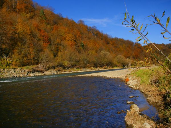 Poprad w okolicach Zubrzyka