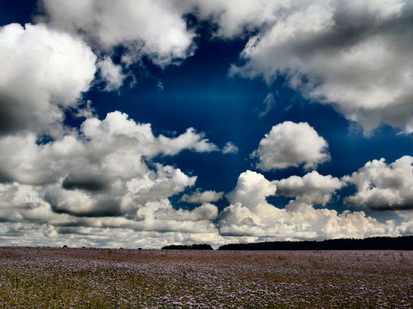 zdjecie Tyniewicze Duże