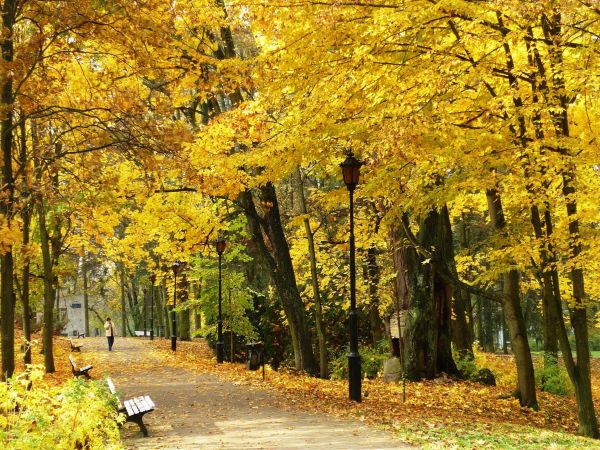 Jesień w Parku Zdrojowym