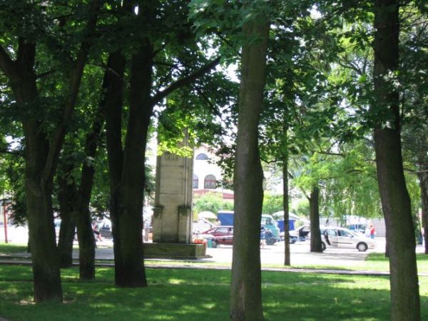 Park miejski w Ćmielowie.