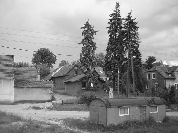 zdjecie Sulechów