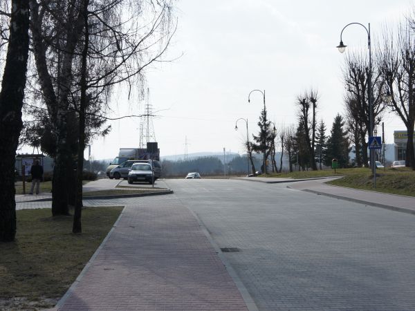 W oddali widoczne ruiny zamku w Checinach