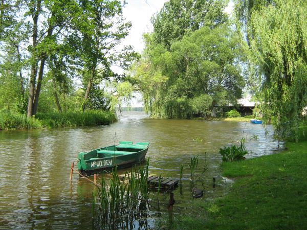 Wolsztyn rzeka Dojca przy ujściu z jeziora Wolsztyńskiego.