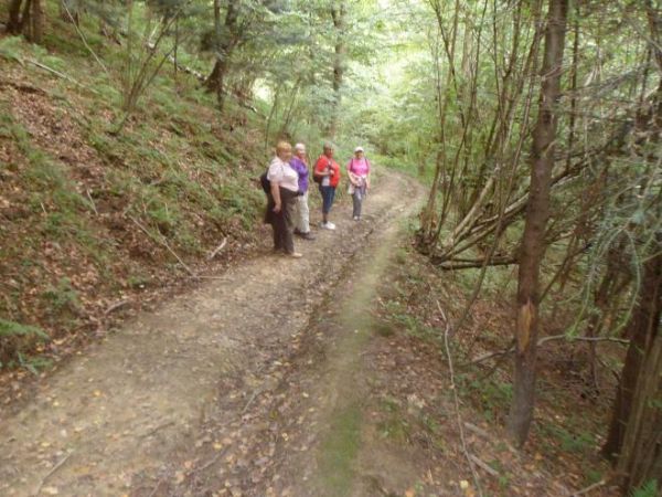 leśną drogą na tarasie pokrytego lasem zbocza a w dole - n/z po prawej potok Broniec, bywa że na mapach i przez miejscowych nazywany Matorga.