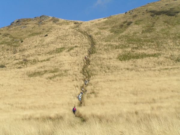 Bieszczady - szlak na Krzemień