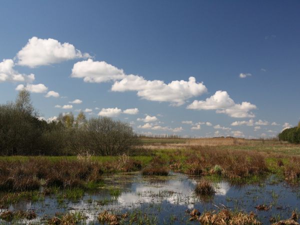 zdjecie Tyniewicze Duże