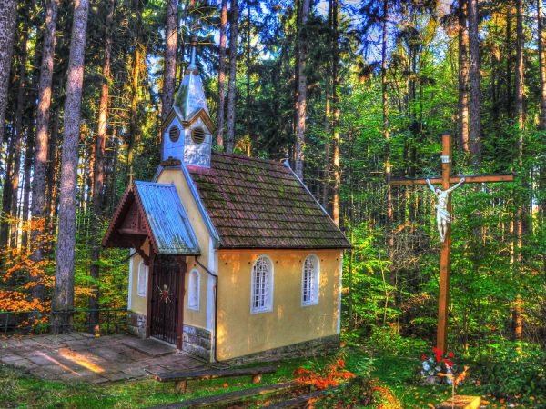 zdjecie Kudowa-Zdrój