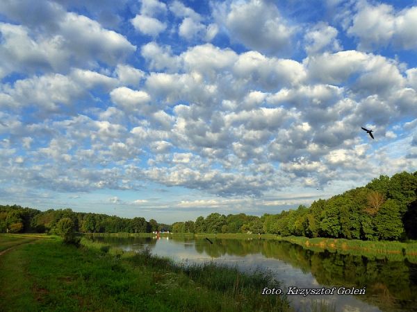 Poniatowa, Duży staw - foto. Krzysztof Goleń