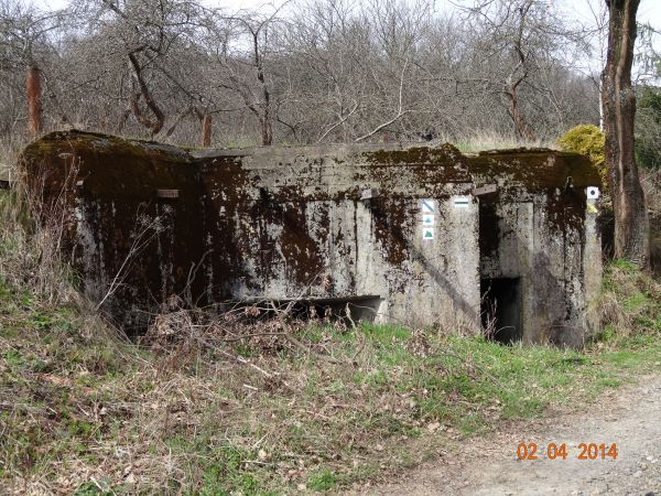 bunkier z "Linii Mołotowa" - nadsańskich umocnień obronnych z II w.św. Obok: droga na m. Kostryń - jest galeria - zapraszam ! oraz do pomnika przyrody "Kamień L