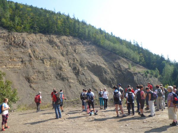 kamieniołom tzw. drobny - Huczwice, wciąż eksploatowany - tu poletko do którego można ścieżką dojść od platformy widokowej - i dalej prosto i w prawo i obok krz